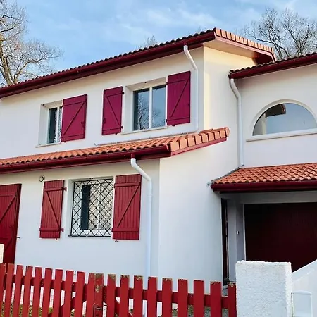 Villa Villa Joia 4 Etoiles Avec Piscine Proche Des Plages Et Du Centre, Parking Gratuit *